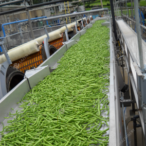 Canned French Beans Production Line