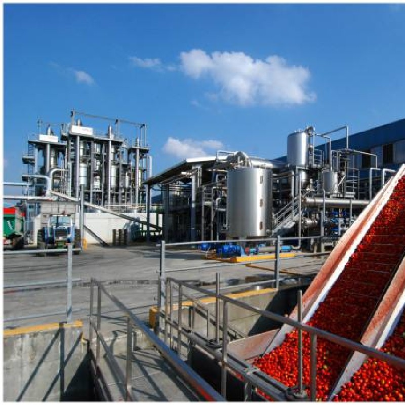 Automatic tomato paste production line and tin can packaging system