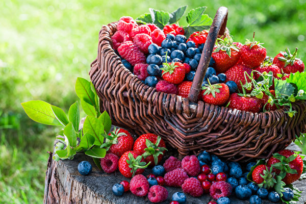 The Health Benefits of Berries: Nature’s Nutrient Powerhouses