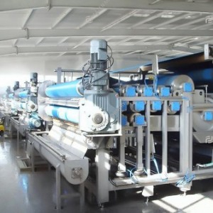 Apple and pear processing line