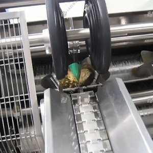 Pineapple processing line