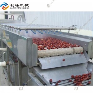 Spray and brush washing machine