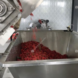 Berry fruit processing line