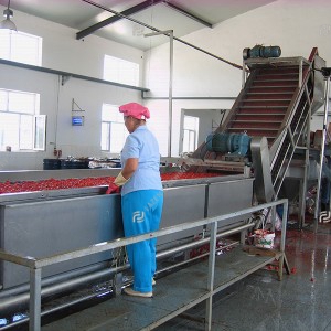 Tomato paste processing line