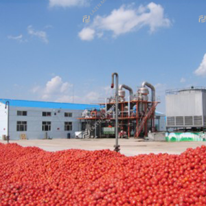 Tomato powder processing line