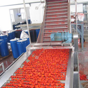Tomato powder processing line