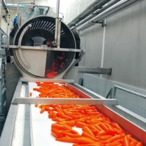 Carrot processing line