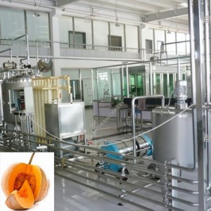 Pumpkin processing line