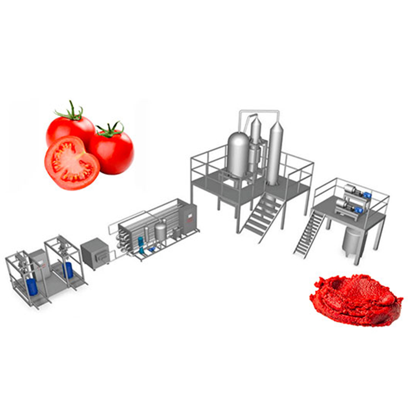 Tomato News: China’s processed tomato production to reach 11 million tons in 2024