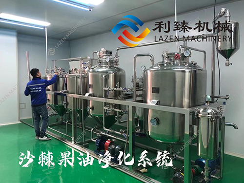 Successful installation and startup of our berry fruits production line