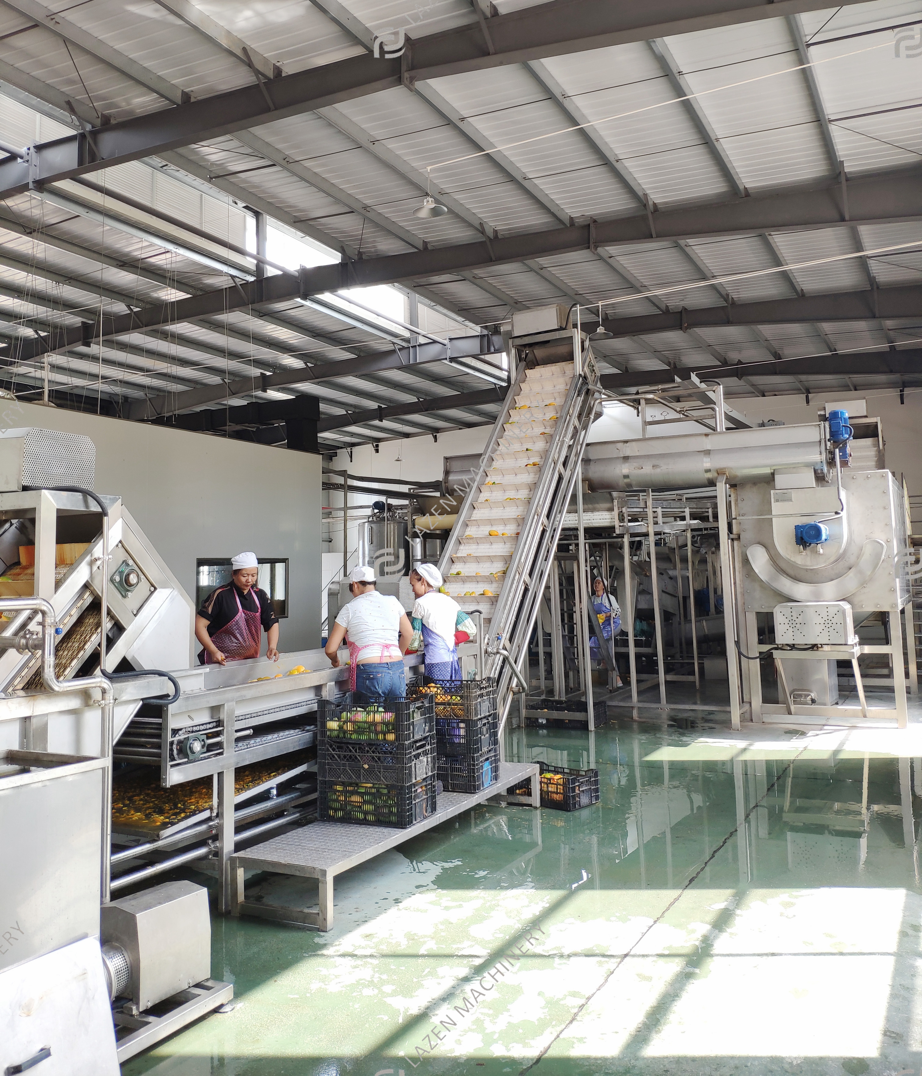 The Mango pulp production line in Hainan Province