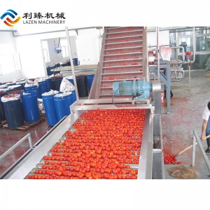 Belt type fruit sorting machine