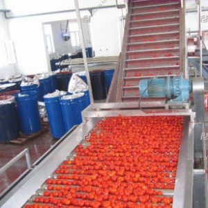 Tomato paste processing line