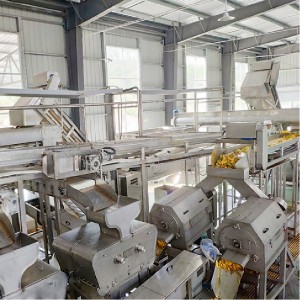 Avocado processing line